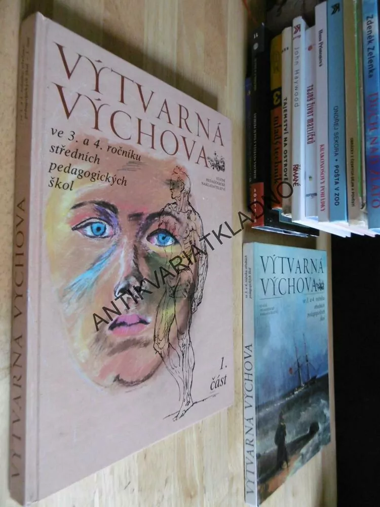 VÝTVARNÁ VÝCHOVA, 3.A 4. ROČNÍK STŘEDNÍCH PEDAGOGICKÝCH ŠKOL, 1.