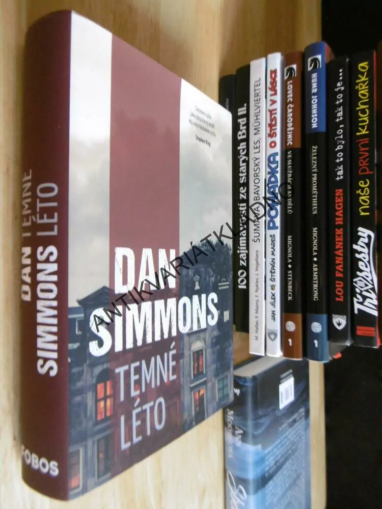TEMNÉ LÉTO, DAN SIMMONS,