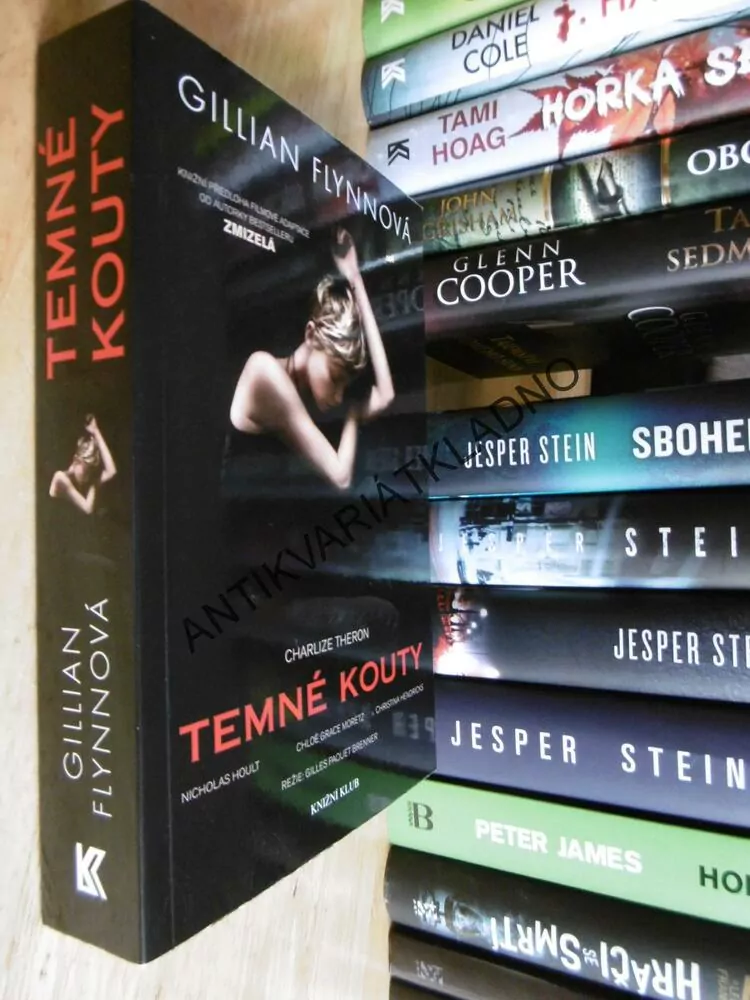 TEMNÉ KOUTY, GILLIAN FLYNNOVÁ, FLYNN, BESTSELLER, **an