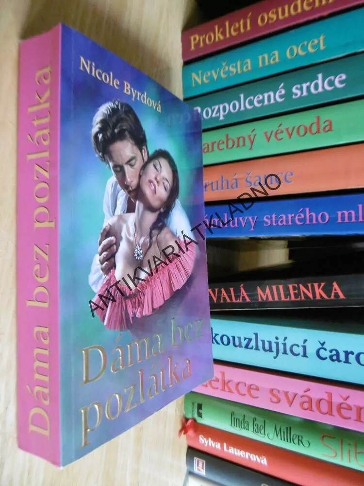 DÁMA BEZ POZLÁTKA, NICOLE BYRDOVÁ, **an