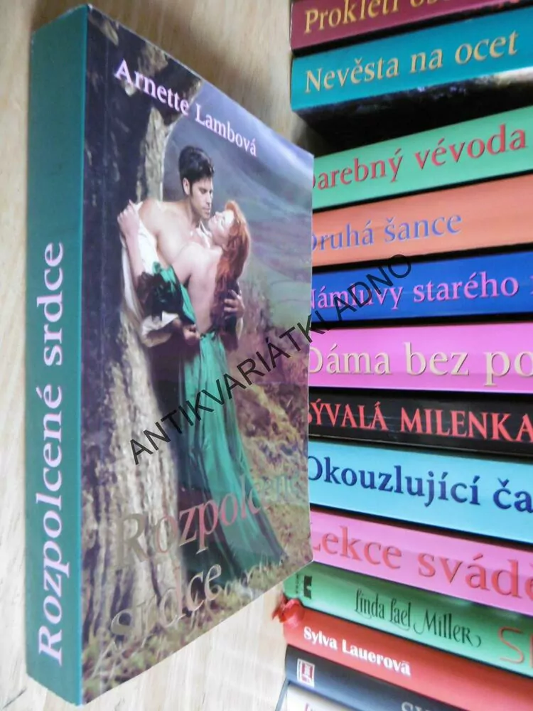 ROZPOLCENÉ SRDCE, ARNETTE LAMB, **an