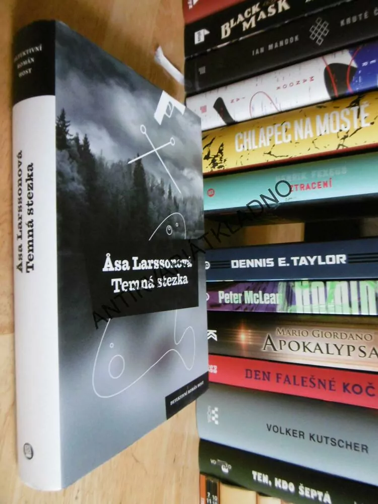 TEMNÁ STEZKA, ASA LARSSONOVÁ