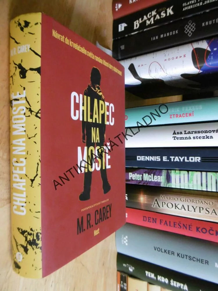 CHLAPEC NA MOSTĚ, M.R.CAREY