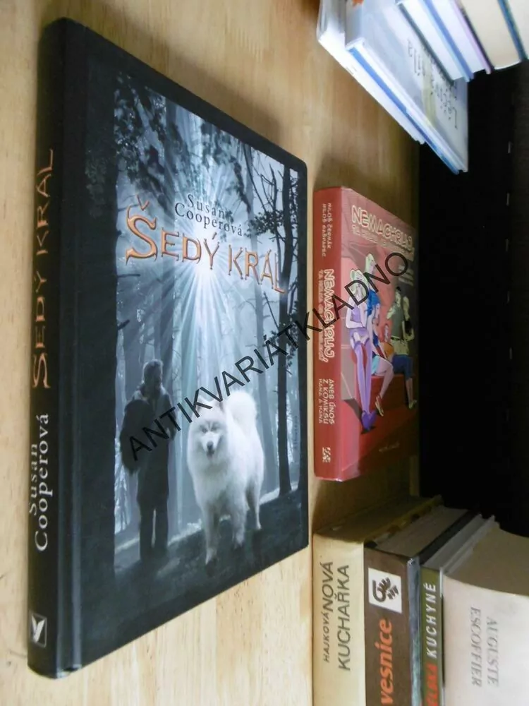 ŠEDÝ KRÁL, SUSAN COOPEROVÁ, **an