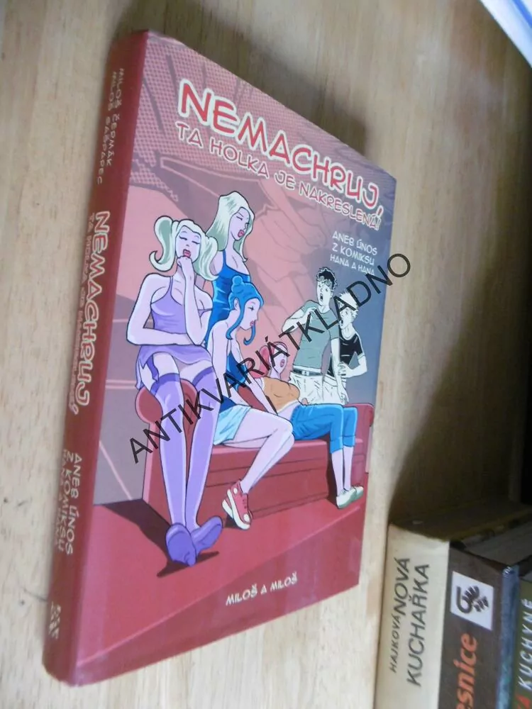 NEMACHRUJ, TA HOLKA JE NAKRESLENÁ! ANEB ÚNOS Z KOMIKSU HANA A HANA, **an