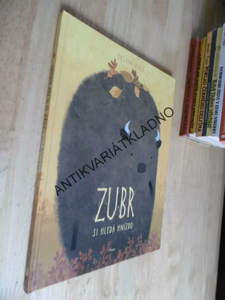 ZUBR SI HLEDÁ HNÍZDO, OKSANA BULA