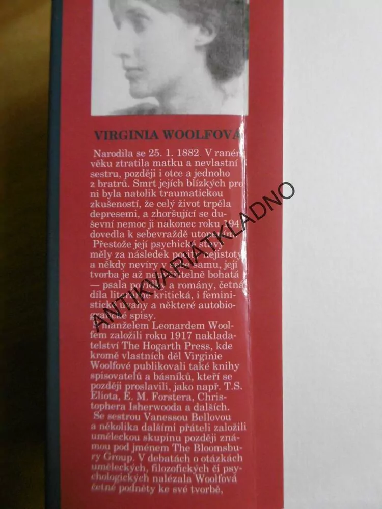 ORLANDO, VIRGINIA WOOLFOVÁ, 