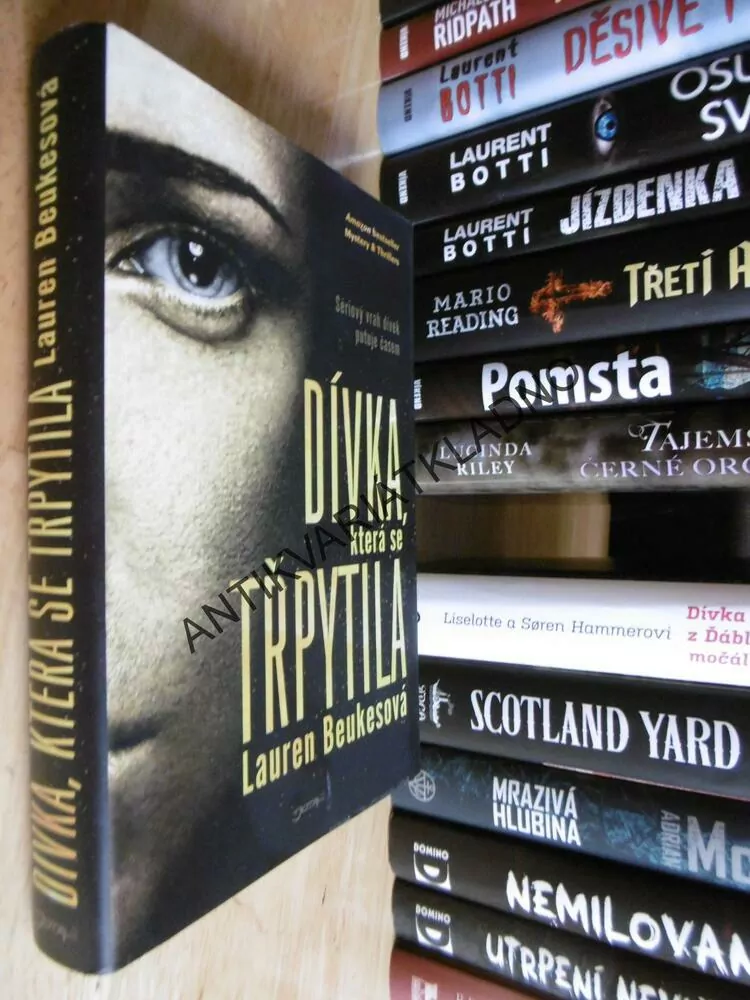 DÍVKA, KTERÁ SE TŘPYTILA, LAUREN BEUKESOVÁ, **an