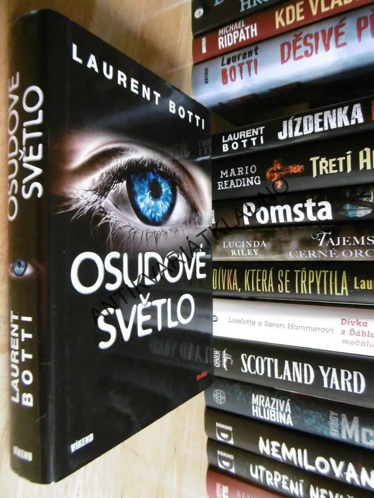OSUDOVÉ SVĚTLO, LAURENT BOTTI, **an
