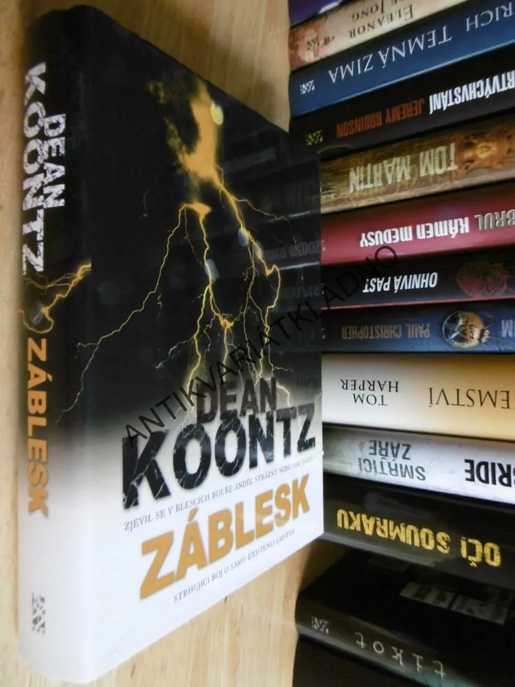 ZÁBLESK, DEAN KOONTZ, **an