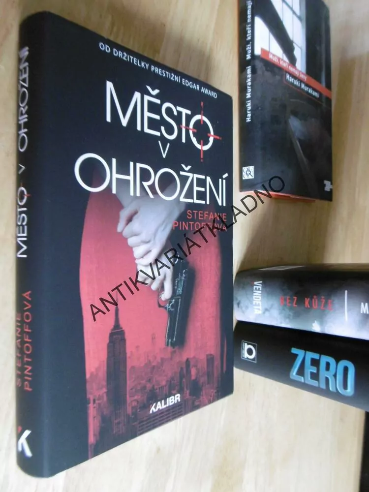 MĚSTO V OHROŽENÍ, STEFANIE PINTOFFOVÁ, **an