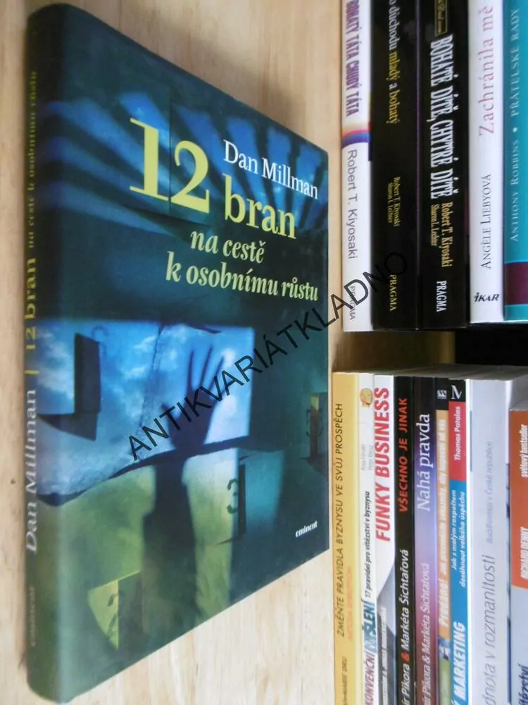 120 BRAN NA CESTĚ K OSOBNÍMU RŮSTU, DAN MILLMAN