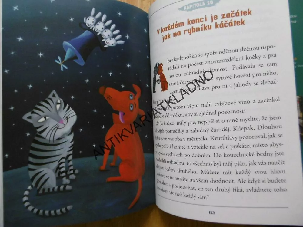 NAPŮLKOČKANAPŮLPES, STANKOVÁ, STANČÍK, **an