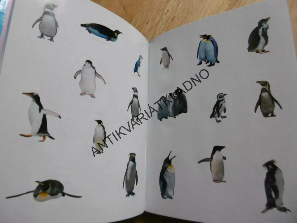 TUČŇÁCI, ÚŽASNÝ SVĚT, 