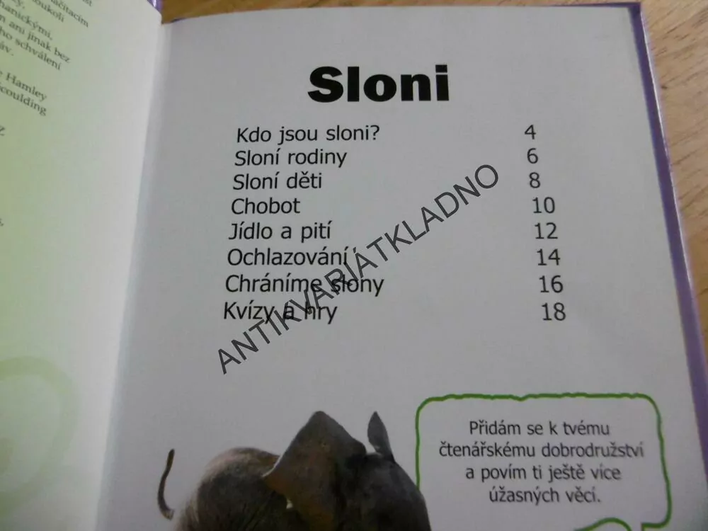 SLONI, ÚŽASNÝ SVĚT, **an