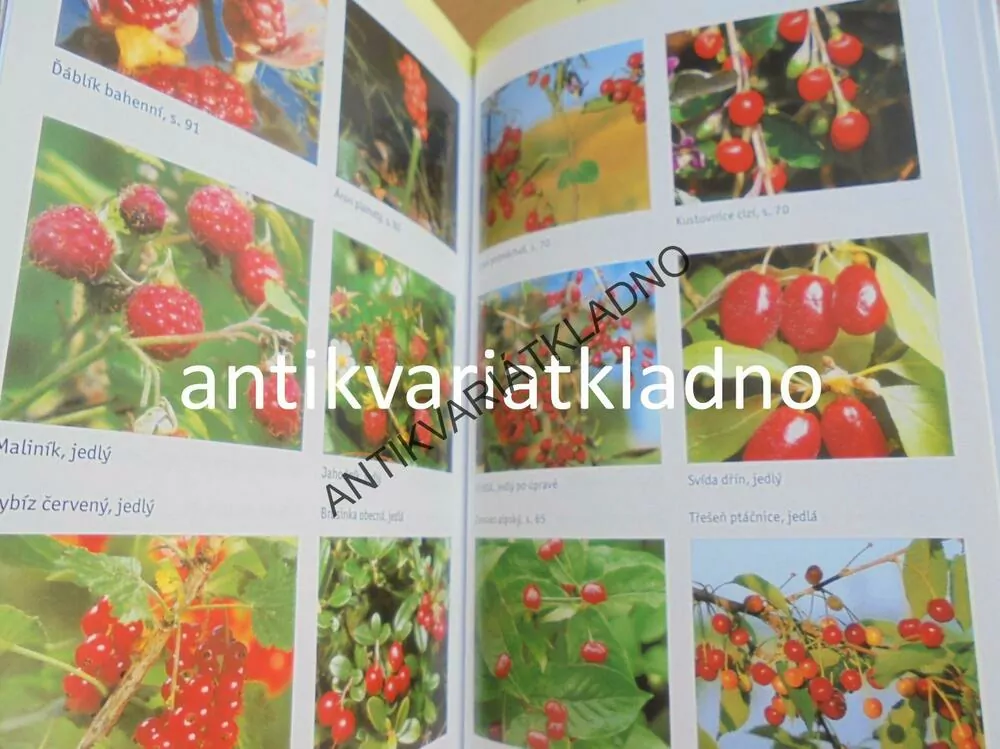 PRŮVODCE PŘÍRODOU- JEDOVATÉ ROSTLINY A ŽIVOČICHOVÉ
