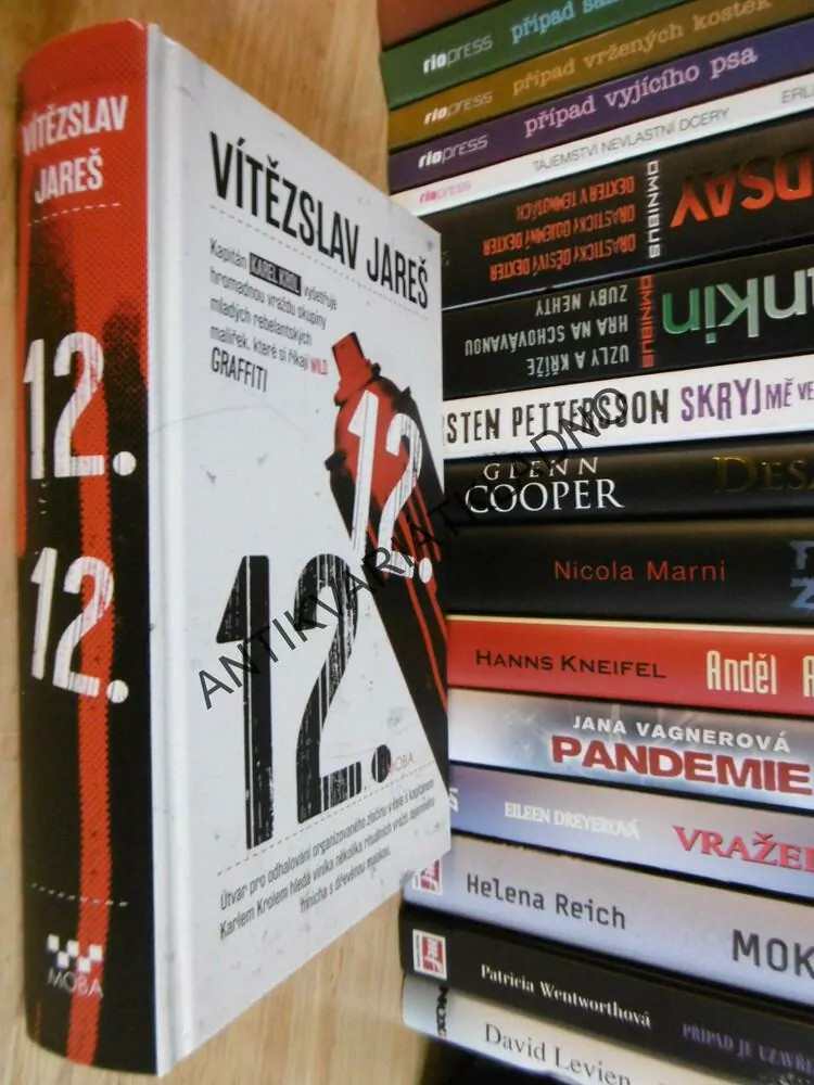 12. WILD GRAFFIT, KAREL KROL, VÍTĚZSLAV JAREŠ, **an
