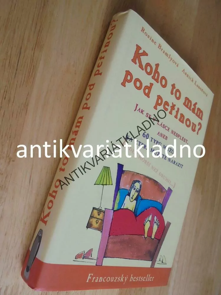 KOHO TO MÁM POD PEŘINOU? 60 TYPŮ MUŽŮ,BRAMLYOVÁ