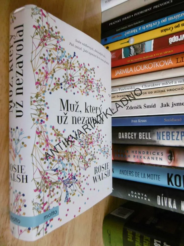 MUŽ, KTERÝ UŽ NEZAVOLAL, ROSIE WALSH,