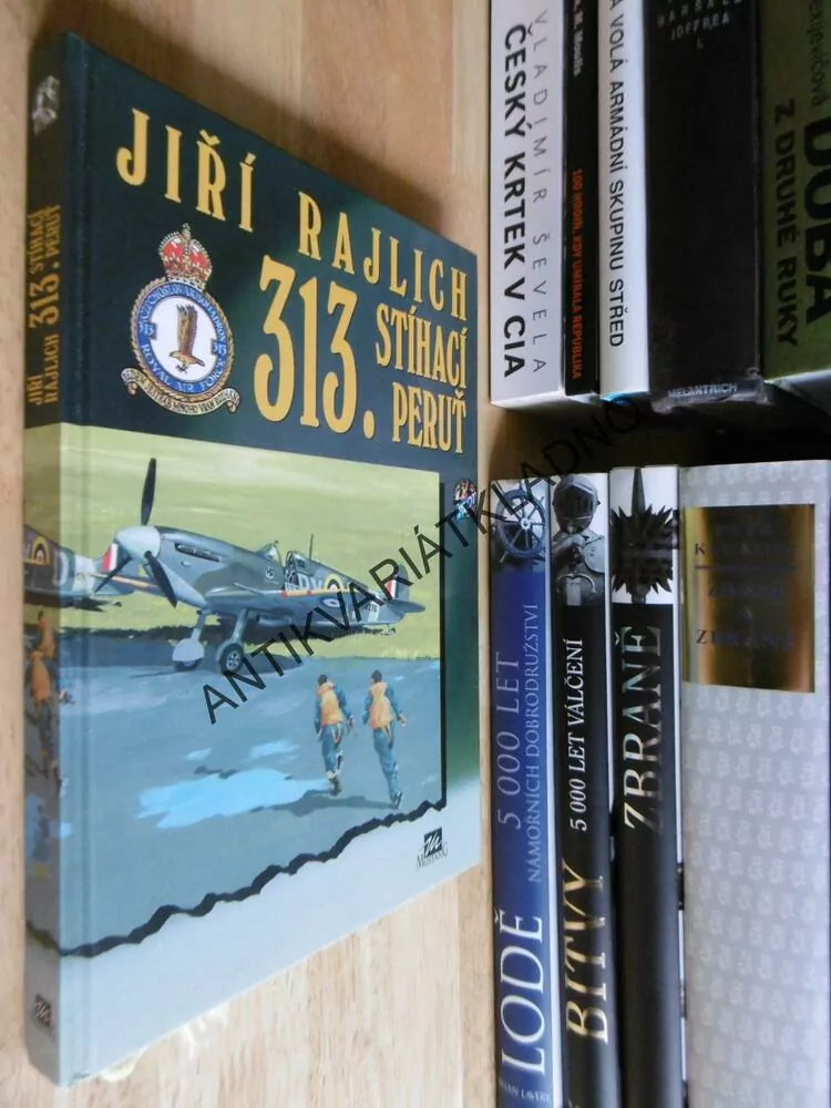 313. STÍHACÍ PERUŤ, JIŘÍ RAJLICH