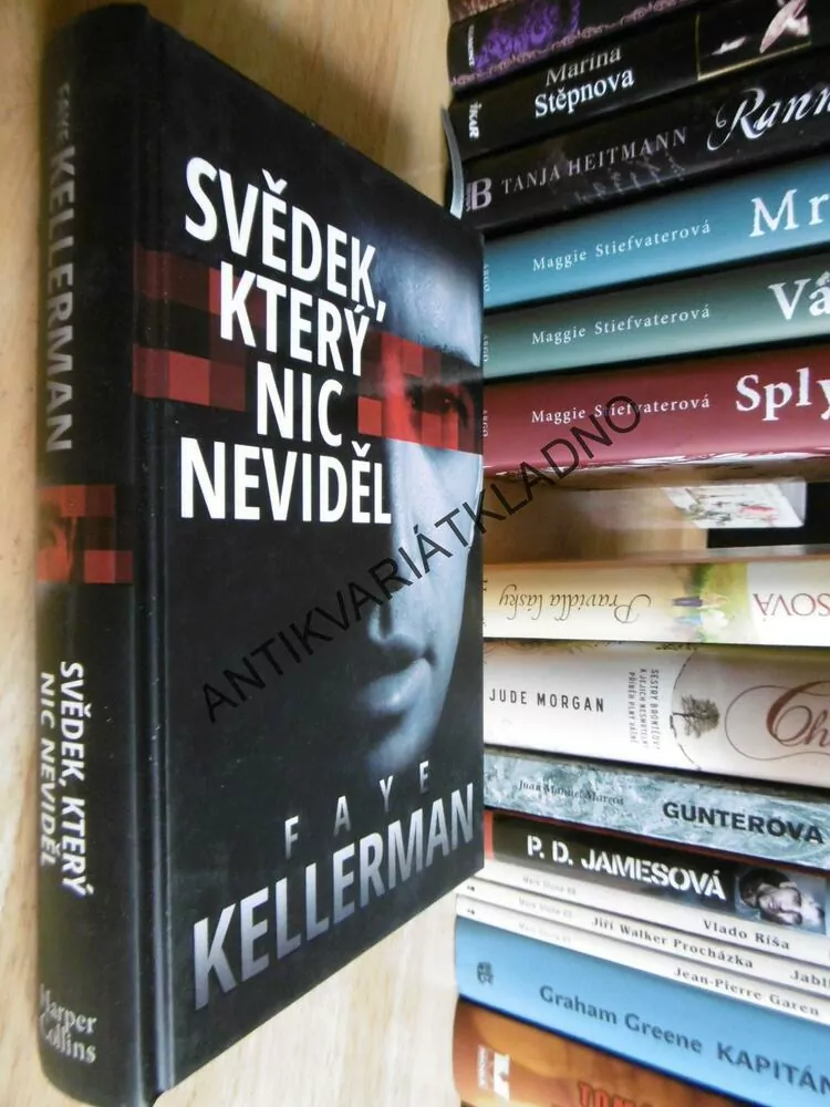 SVĚDEK, KTERÝ NIC NEVIDĚL, FAYE KELLERMAN, **an