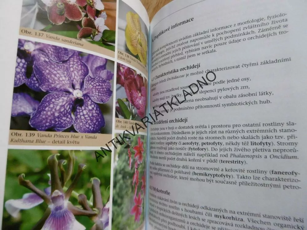 ORCHIDEJE V BYTĚ A RODINNÉM DOMĚ