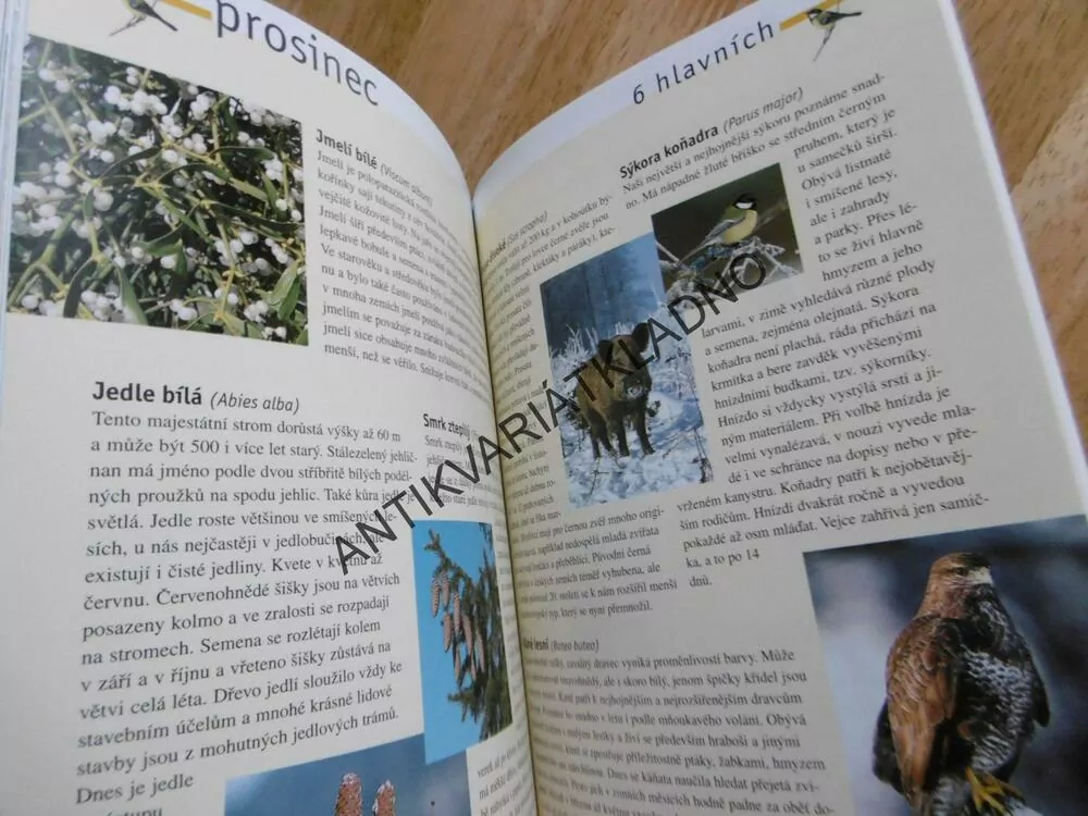 NAŠÍ PŘÍRODOU MĚSÍC PO MĚSÍCI, ZVÍŘATA ROSTLINY HMYZ, MARIO LUDWIG