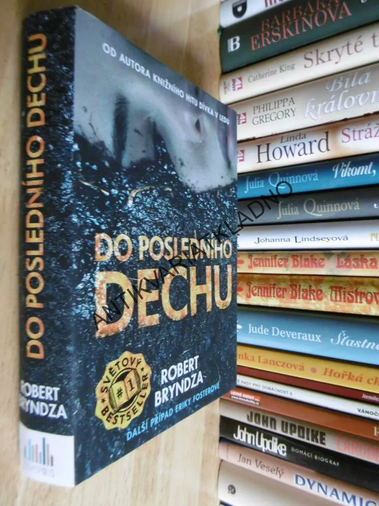 DO POSLEDNÍHO DECHU, ROBERT BRYNDZA, **an