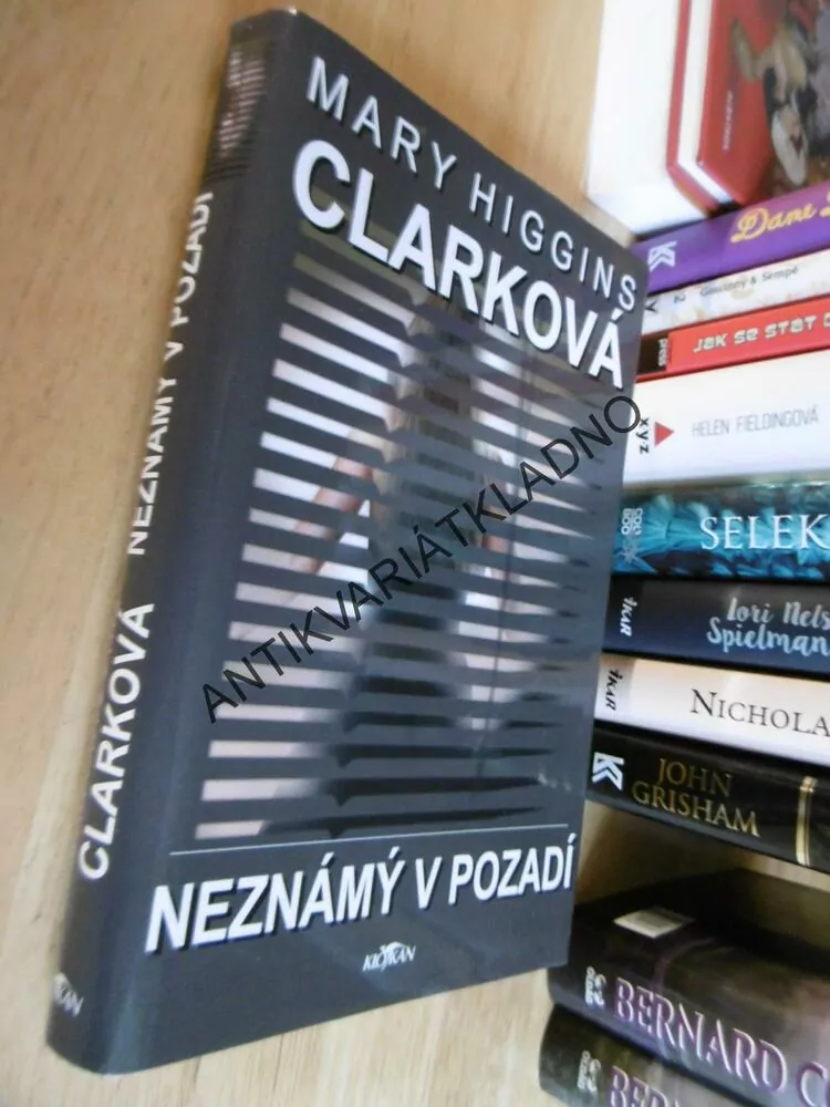 NEZNÁMÝ V POZADÍ, MARY HIGGINS CLARKOVÁ, **an