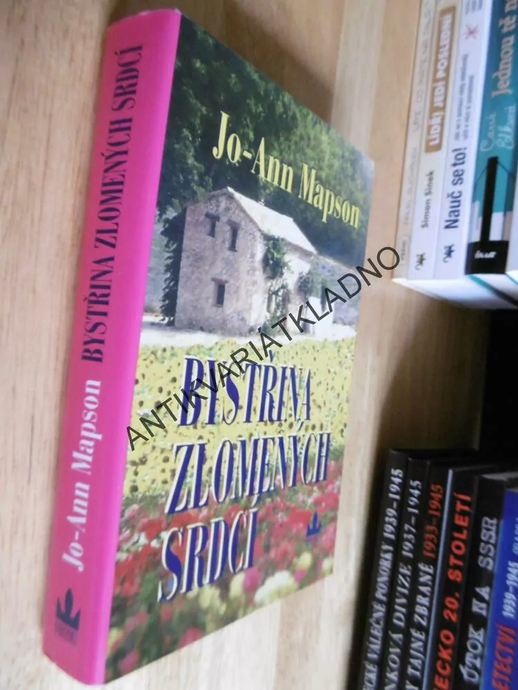BYSTŘINA ZLOMENÝCH SRDCÍ, JO-ANN MAPSON, **an