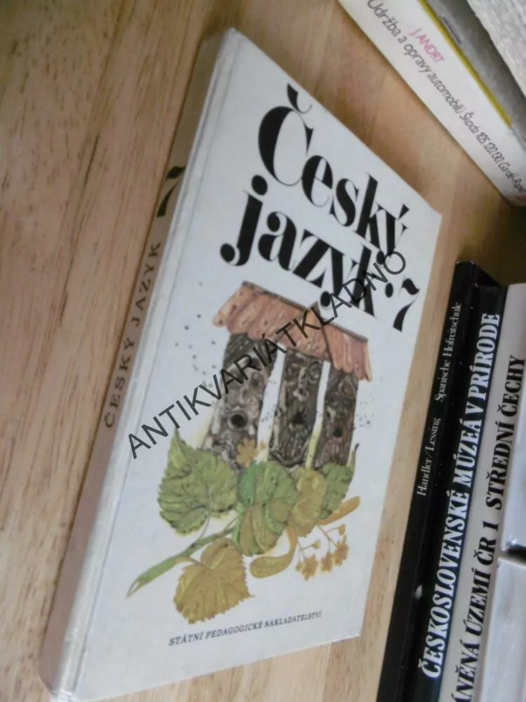 ČESKÝ JAZYK, PRO 7. ROČNÍK ZÁKLADNÍ ŠKOLY