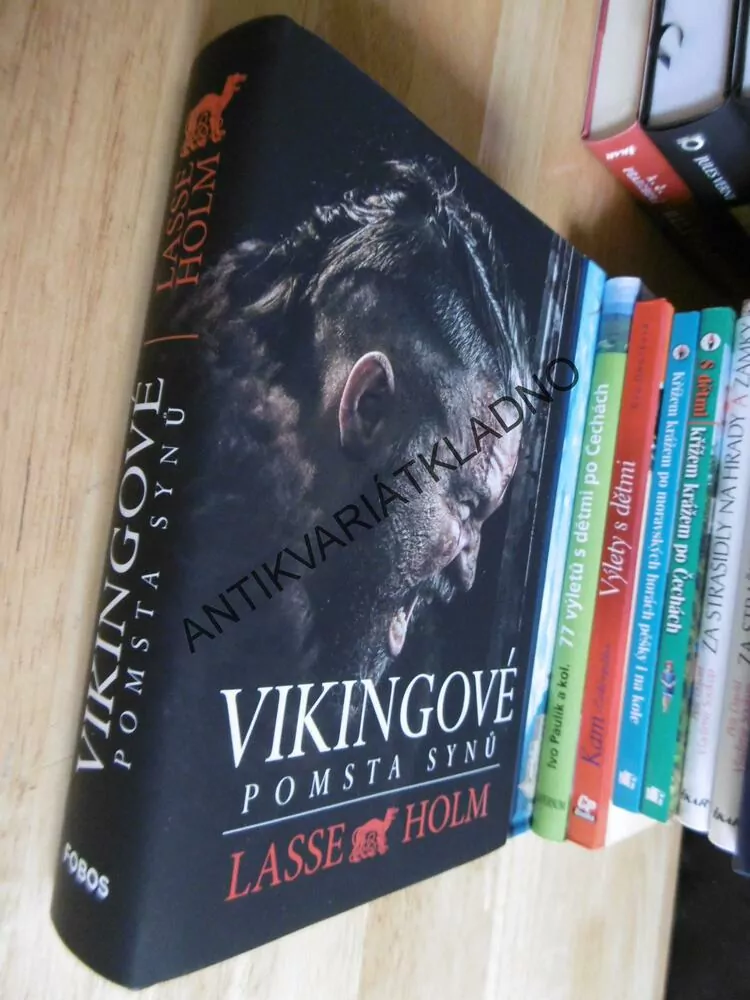 VIKINGOVÉ, POMSTA SYNŮ, LASSE HOLM, 2019, **an