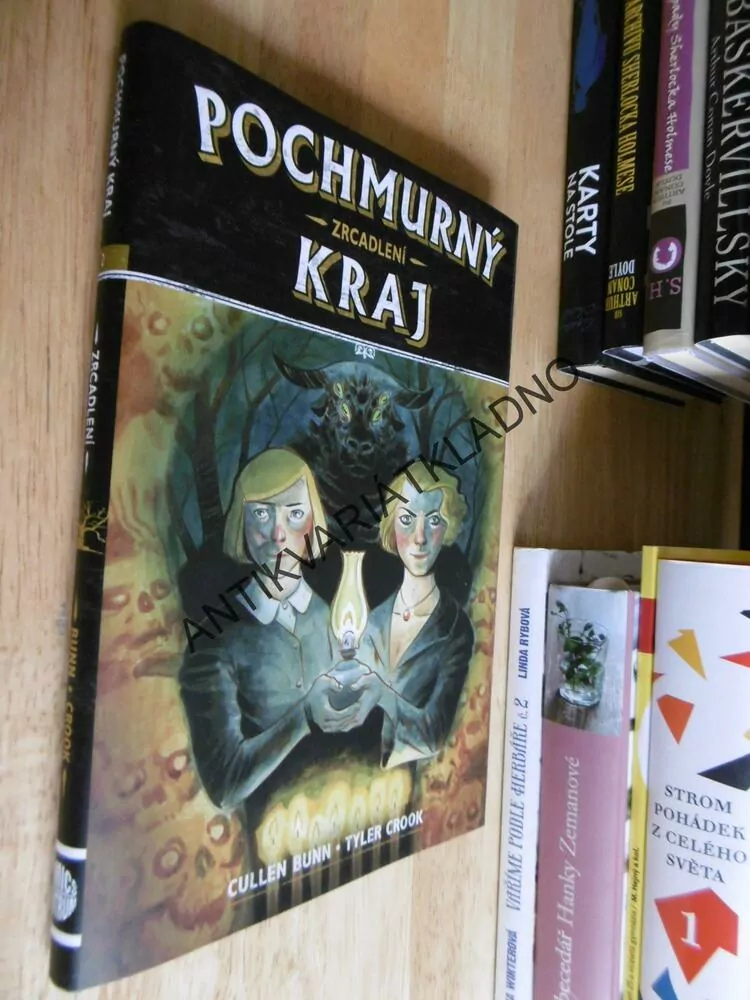 POCHMURNÝ KRAJ, ZRCADLENÍ, CULLEN BUNN, TYLER CROOK, KOMIKS