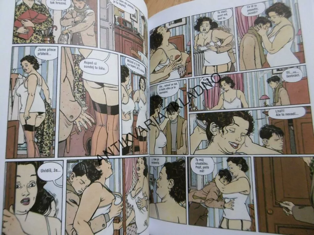 DĚTSTVÍ, KOMIKSOVÝ ROMÁN ZE STALINISTICKÉ PRAHY, JONÁŠ FINK, KOMIKS, **an