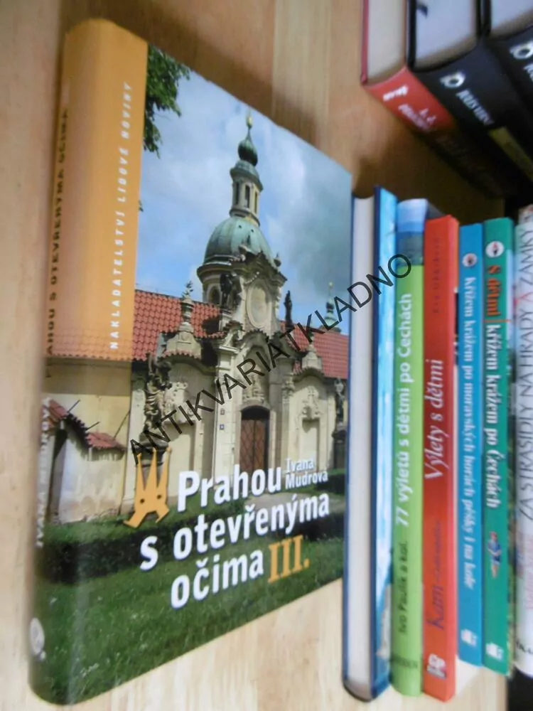 PRAHOU S OTEVŘENÝMA OČIMA,3., IVANA MUDROVÁ,
