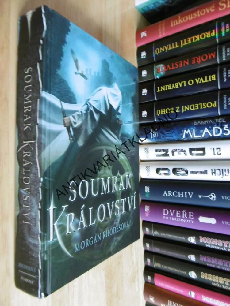 SOUMRAK KRÁLOVSTVÍ, MORGAN RHODESOVÁ