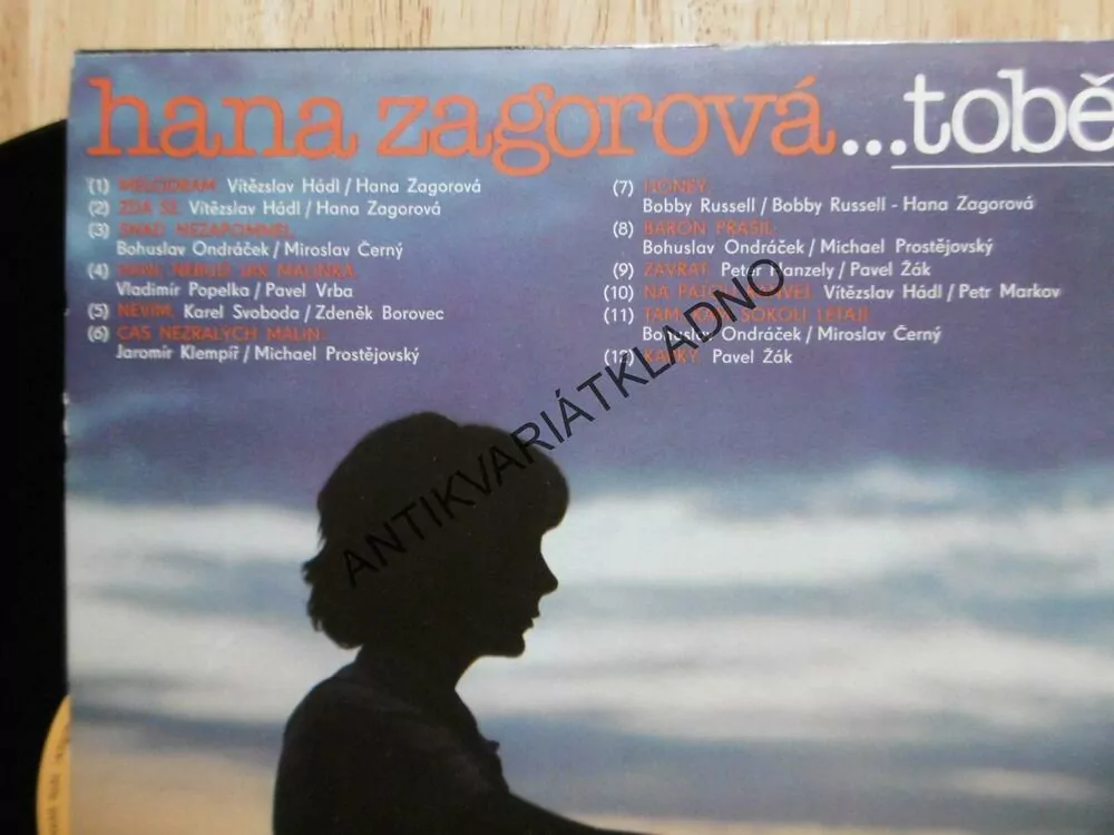 TOBĚ, TEBE, TI, HANA ZAGOROVÁ