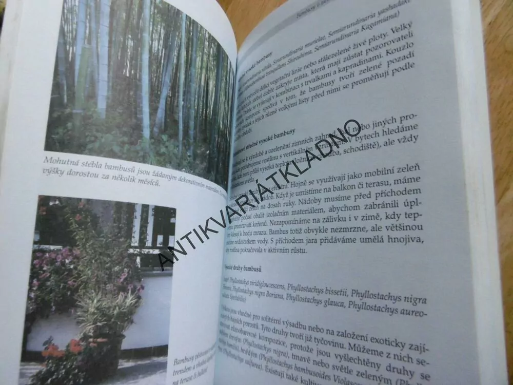 BAMBUSY PRO ZAHRADY A INTERIÉRY, KASTNER, JAN ONDŘEJ, 