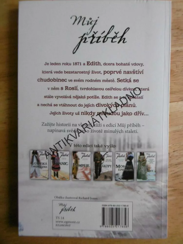 MŮJ PŘÍBĚH, DENÍK VIKTORIÁNSKÉ DÍVKY Z ROKU 1871, CHUDOBINEC, PAMELA OLDFIELDOVÁ, **an
