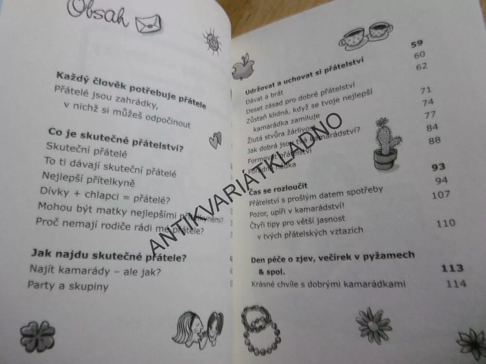 KÁMOŠKY NAVŽDYCKY, VŠE O PŘÁTELSTVÍ,SCHNEIDEROVÁ, **an