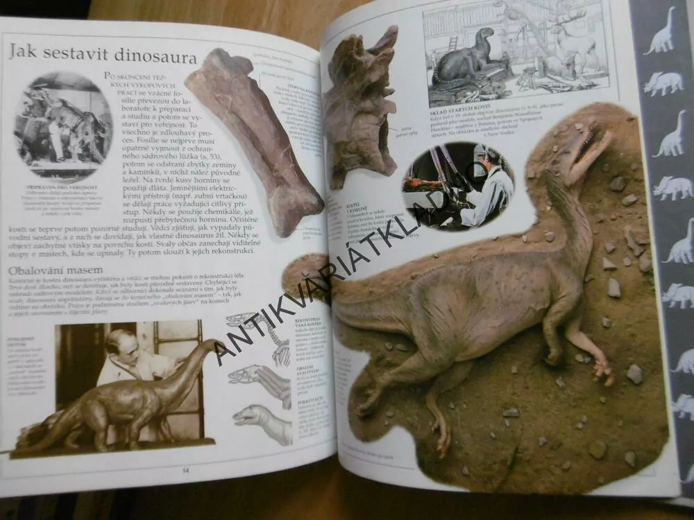 DINOSAUŘI, VIDĚT, POZNAT, VĚDĚT, **an
