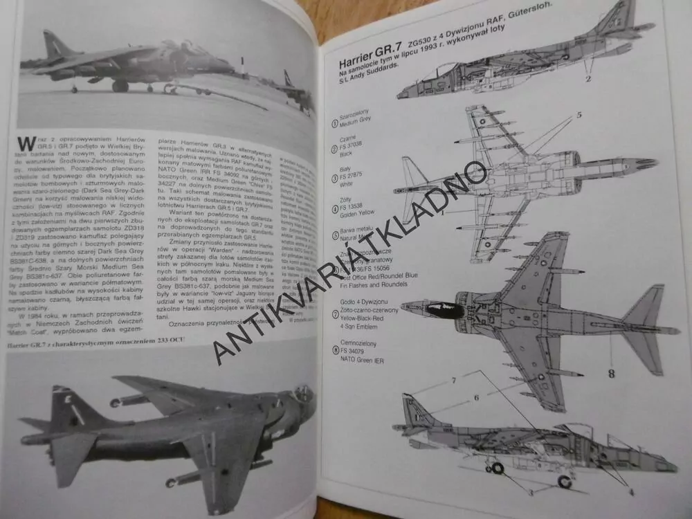 HARRIER, STÍHAČKA, LETADLO, POLSKY