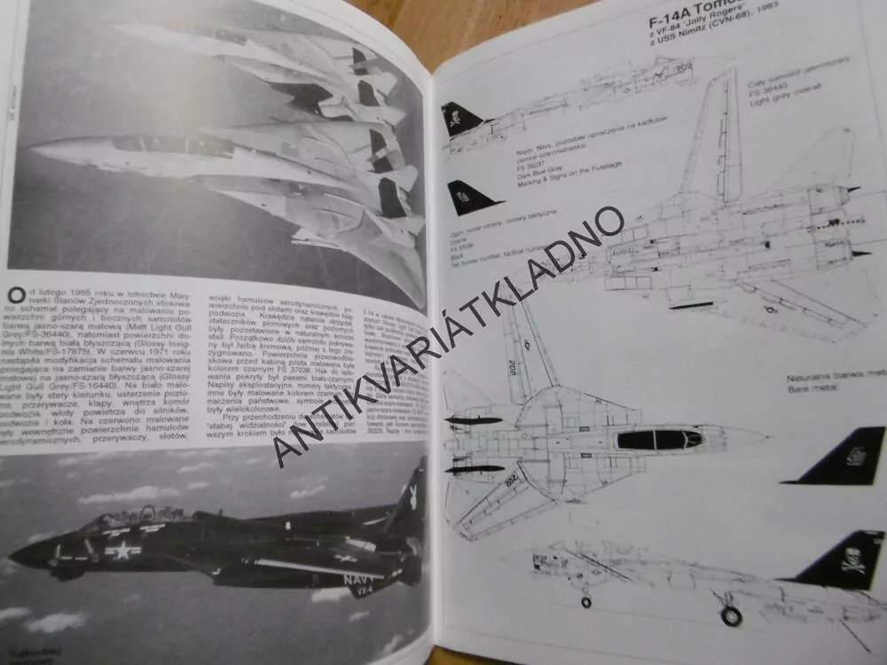 F-14, STÍHAČKA, LETADLO, POLSKY