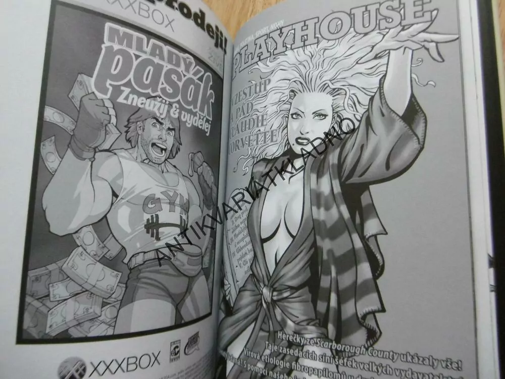 JAK SI NAHRABAT JAKO PORNO HVĚZDA, NEIL STRAUSS, BERNARD CHANG