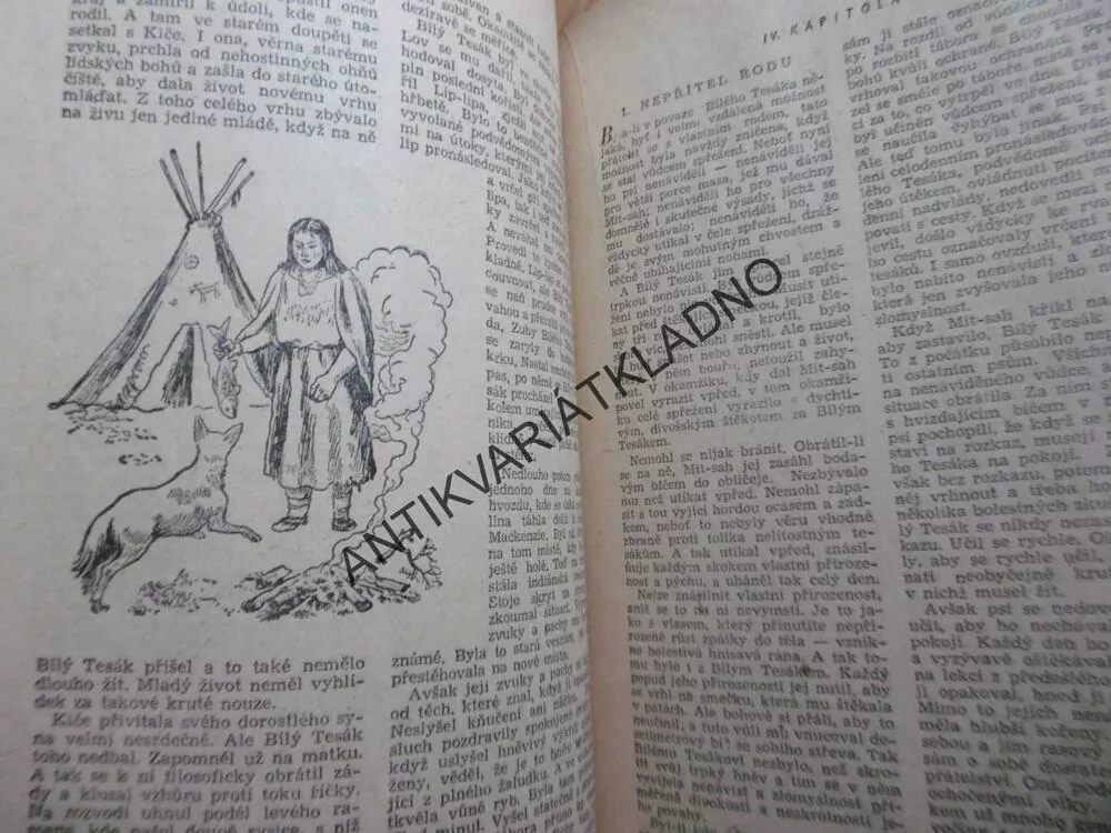 BÍLÝ TESÁK, JACK LONDON,