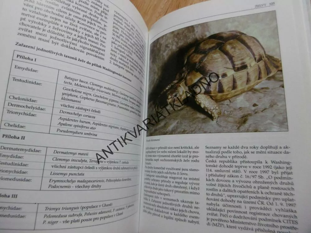 ŽELVY, JIŘÍ ZYCH, NAŠE HOBY