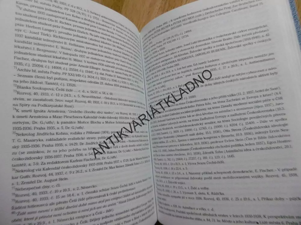 VELKÉ A MALÉ ČESKOŽIDOVSKÉ PŘÍBĚHY, Z DOBY INTENZIVNÍ NADĚJE, SOUKUPOVÁ, **an