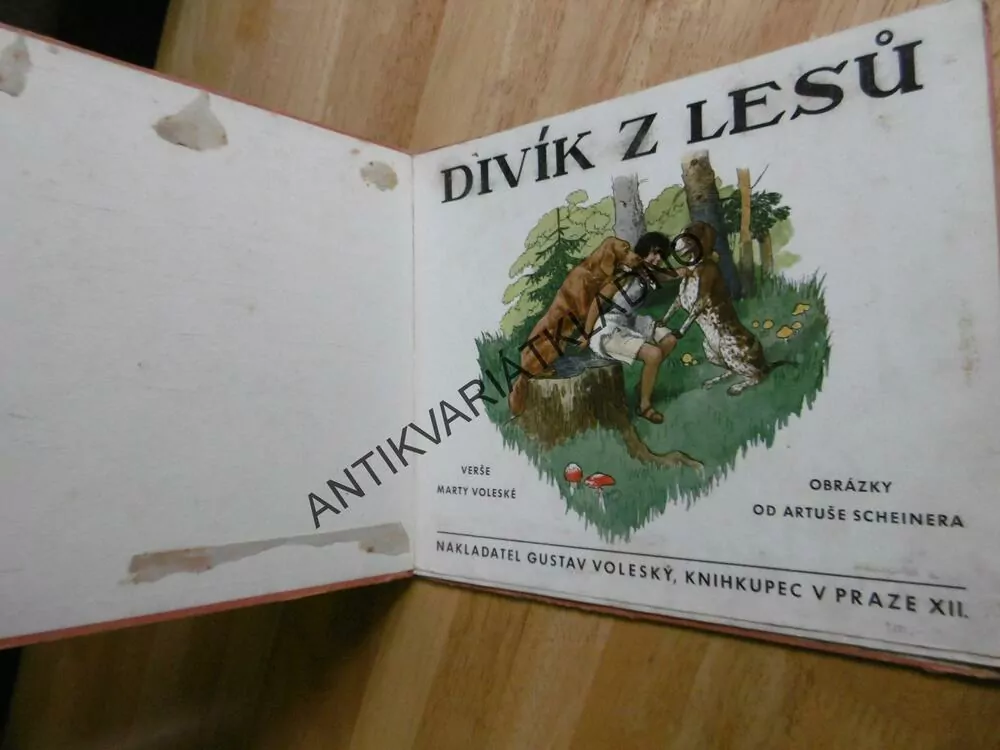 DIVÍK Z LESŮ, VOLESKÁ, ARTUŠ SCHEINER