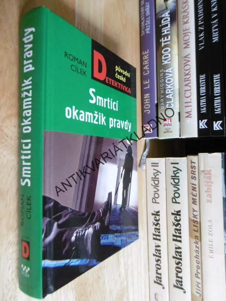 SMRTÍCÍ OKAMŽIK PRAVDY, ROMAN CÍLEK