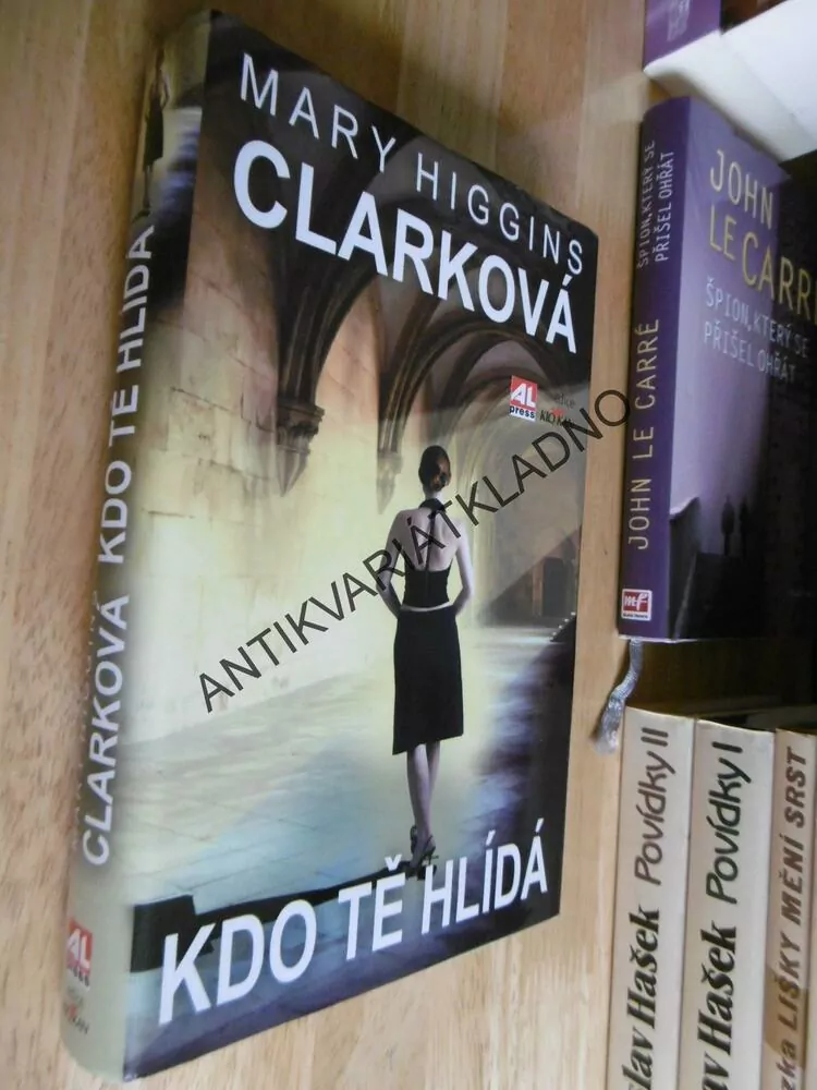 KDO TĚ HLÍDÁ, MARY HIGGINS CLARKOVÁ